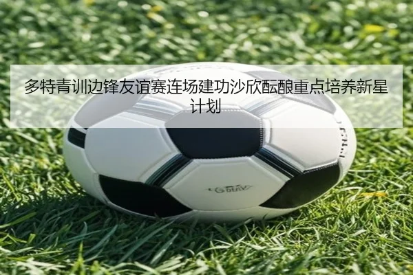 多特青训边锋友谊赛连场建功沙欣酝酿重点培养新星计划